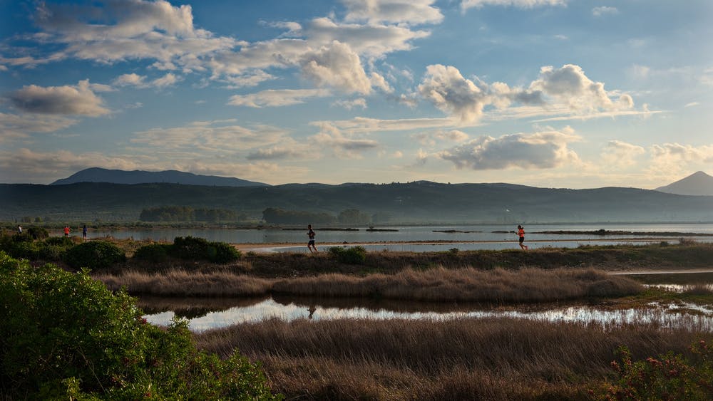Λάμψη Αστέρων στα 10 χρόνια του Navarino Challenge 2022 με Πετρούνια, Τεντόγλου, Ντούσκο, Μιλλούση, Βλάχο, Διαμαντίδη, Πρίντεζη, Βολικάκη, Πρεβολαράκη, Γκολομέεβ runbeat.gr
